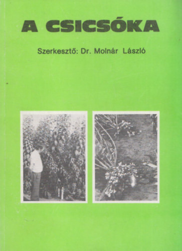 Könyv: A csicsóka termesztése és hasznosítása (Dr. Molnár László)