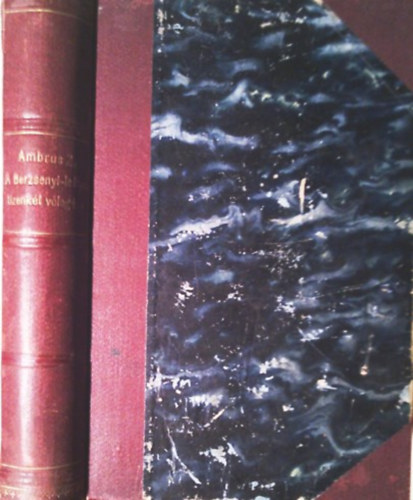 Könyv: A berzsenyi-leányok tizenkét vőlegénye (Ambrus Zoltán)