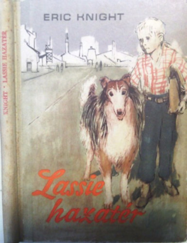 Könyv: Eric Knight: Lassie hazatér - Hernádi Antikvárium - Online  antikvárium