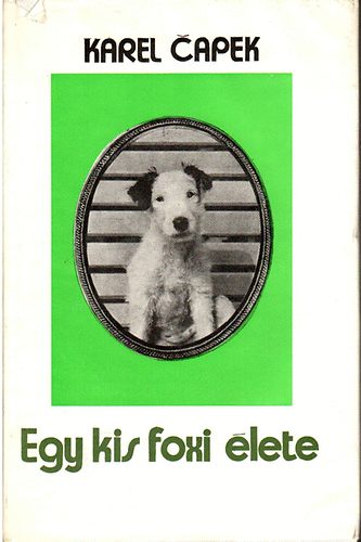 Könyv: Egy kis foxi élete (Karel Capek)