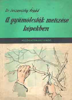 Könyv: A gyümölcsfák metszése képekben (Jeszenszky Árpád)
