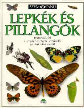 Könyv: Lepkék és pillangók (Szemtanú) (Paul Whalley)