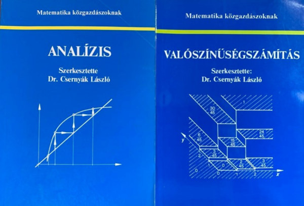 Könyv: Matematika közgazdászoknak: Analízis + Valószínűségszámítás (2 kötet) (Dr. Csernyák László)
