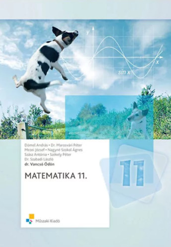 Könyv: Matematika 11. osztályosok számára (Dr. Vancsó Ödön)