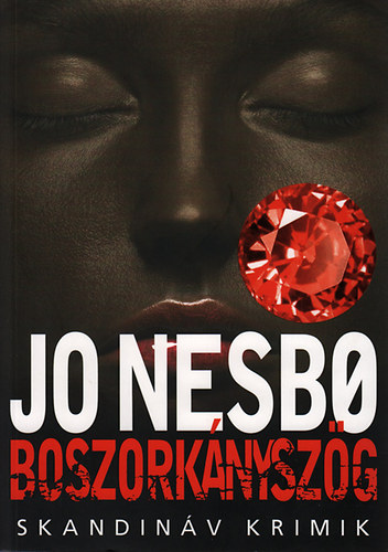 Könyv: Boszorkányszög (Jo Nesbo)