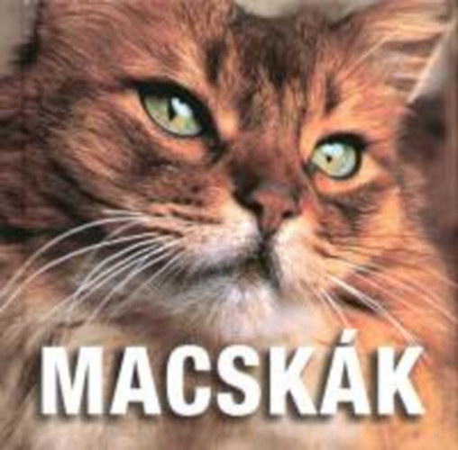 Könyv: Macskák - National Geographic (Geographia Kiadó)