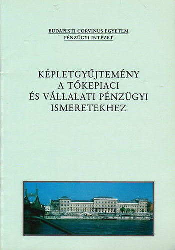 Könyv: Képletgyűjtemény a tőkepiaci és a vállalati pénzügyi ismeretekhez (Kovács Nikolett (szerk.); Fazekas Gergely; Juhász Péter)