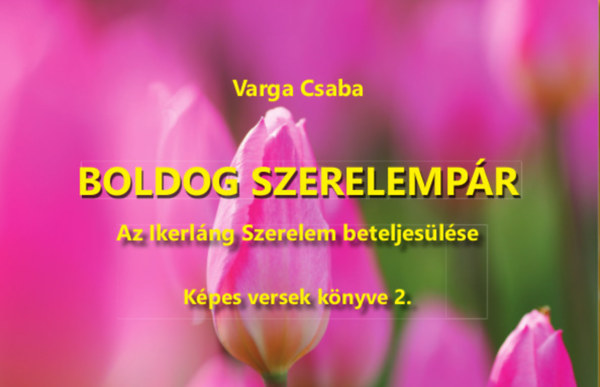 Könyv: Boldog szerelempár (Varga Csaba)