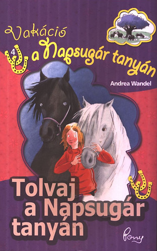 Andrea Wandel: Tolvaj a Napsugár tanyán (Pony Club)