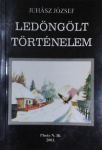 Juhász József: Ledöngölt történelem