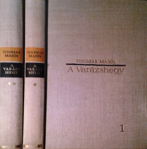 Thomas Mann: A varázshegy I-II.