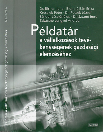 Blumné Bán Erika; Dr. Birher Ilona: Példatár a vállalkozások tevékenységének gazdasági elemzéséhez