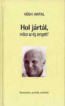 Végh Antal: Hol jártál, mikor az ég zengett?