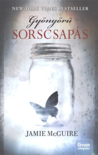 Jamie McGuire: Gyönyörű sorscsapás