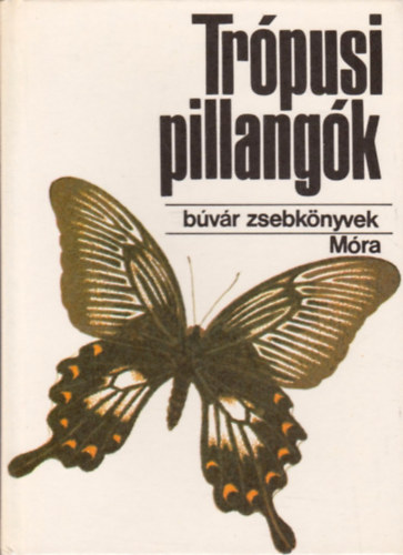 Mészáros Zoltán: Trópusi pillangók (búvár zsebkönyvek)