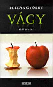 Bolgár György: Vágy - Kész regény