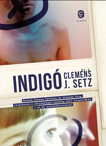 Clemens J. Setz: Indigó