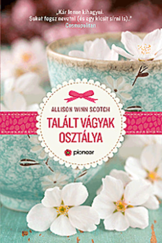 Allison Winn Scotch: Talált vágyak osztálya