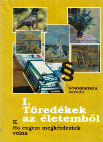 Bornemisza István: I. Töredékek az életemből (II. Ha engem megkérdeztek volna)