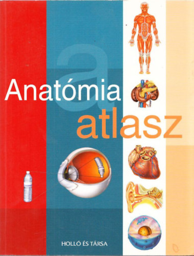Vincze Zsuzsa (szerk.): Anatómia atlasz