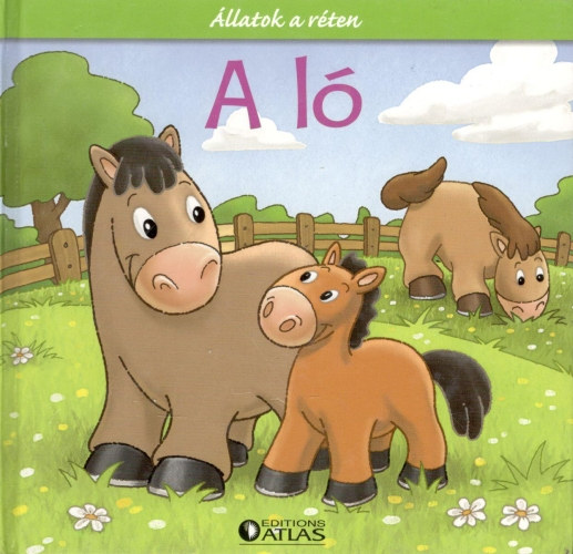 : Állatok a réten - A ló