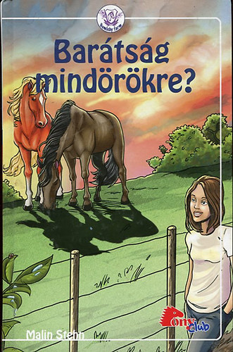 Malin Stehn: Barátság mindörökre?