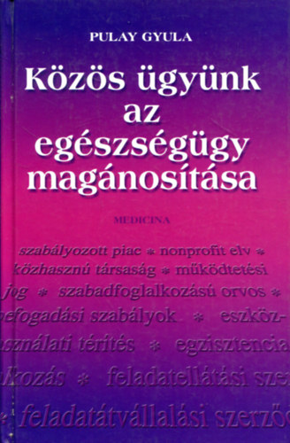 Pulay Gyula: Közös ügyünk az egészségügy magánosítása