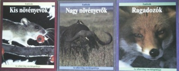 : Kis növényevők - Nagy növényevők - Ragadozók