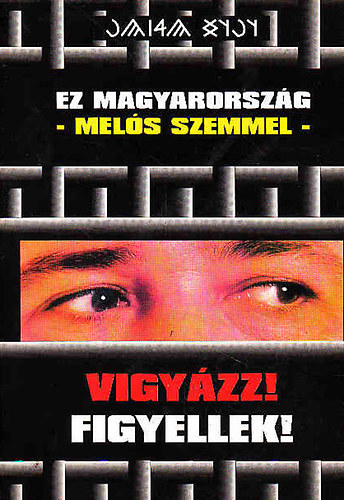 Tóth László: Ez Magyarország -melós szemmel- ( Vigyázz! Figyellek! )