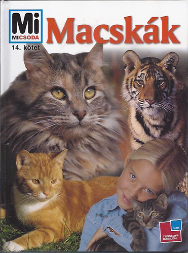 Reiner Dr. Köthe: Macskák (Mi micsoda)