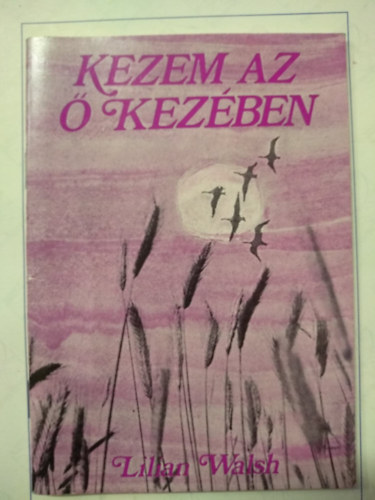 LilliaN Walsh: Kezem az ő kezében