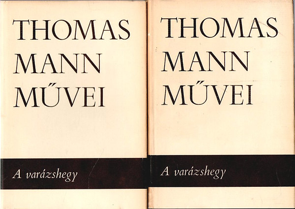 Thomas Mann: A varázshegy I-II.