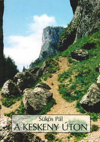 Sükös Pál: A keskeny úton