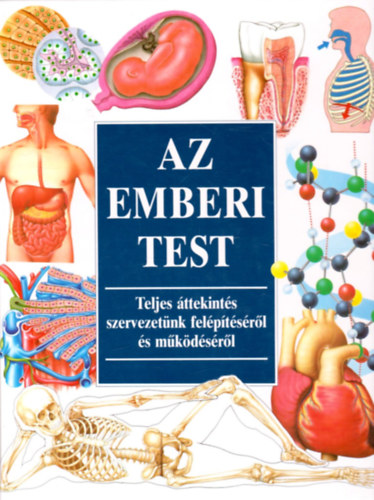 Louise Bostock; Stephen Luck; Sam Merrell: Az emberi test- Teljes áttekintés szervezetünk felépítéséről és működéséről