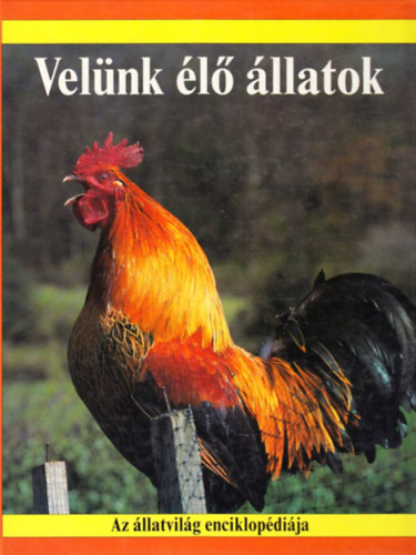 Robin Kerrod: Velünk élő állatok (Az állatvilág enciklopédiája)