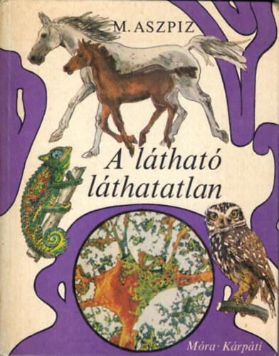 M. Aszpiz: A látható láthatatlan