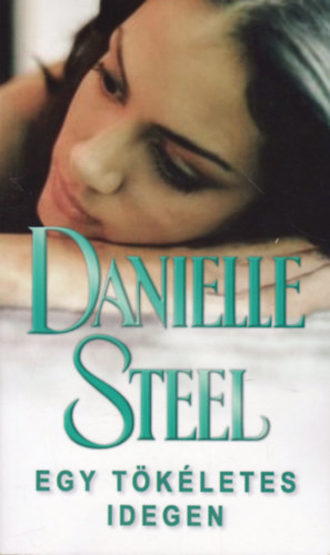 Danielle Steel: Egy tökéletes idegen