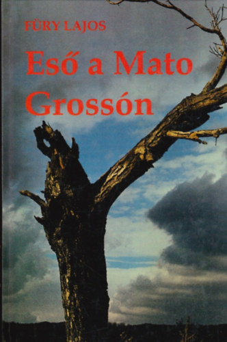 Füry Lajos: Eső a Mato Grossón