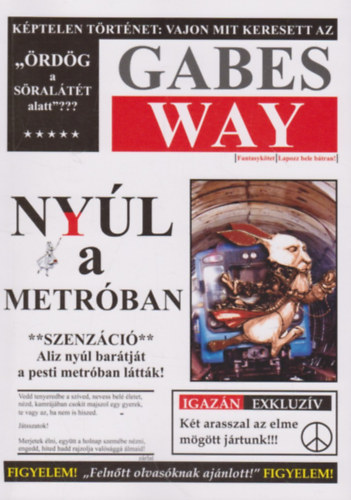 Gabes Way: Nyúl a metróban