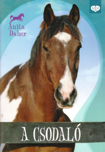 Anita Daher: A csodaló