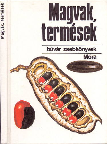 Kósa-Bíró: Magvak, termések (búvár zsebkönyvek)