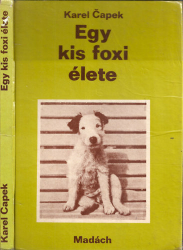 Capek Karel: Egy kis foxi élete