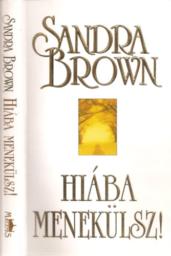 Sandra Brown: Hiába menekülsz!