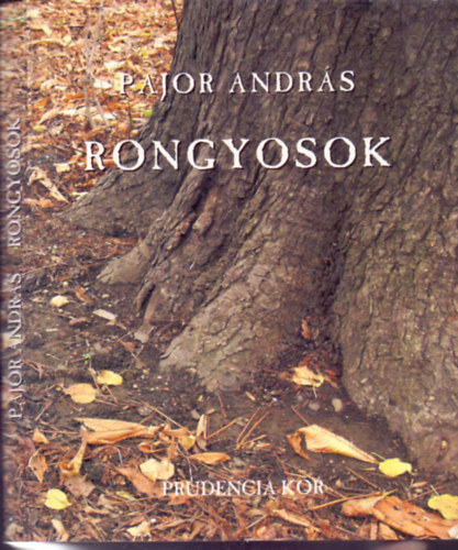 Pajor András: Rongyosok