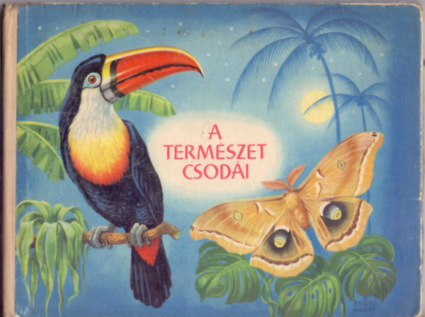 Rudolf Engel-Hardt (írta és rajzolta): A természet csodái (Képeskönyv)