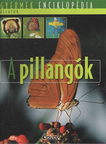 : A pillangók (Gyermek enciklopédia - Állatok)