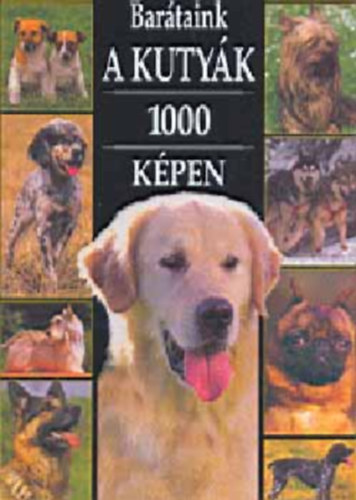 : Barátaink a kutyák 1000 képben