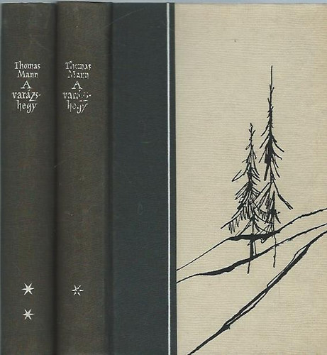 Thomas Mann: A varázshegy I-II.