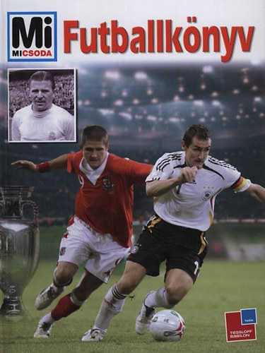 Christoph Bausenwein: Futballkönyv (Mi Micsoda)