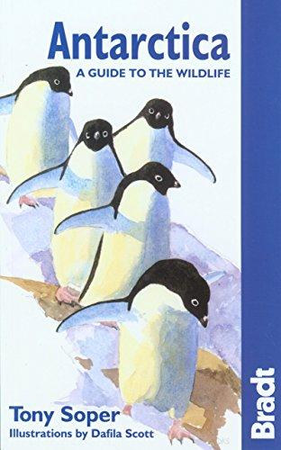 Tony Soper, Dafila Scott (illus.): Antarctica - A Guide to the Wildlife